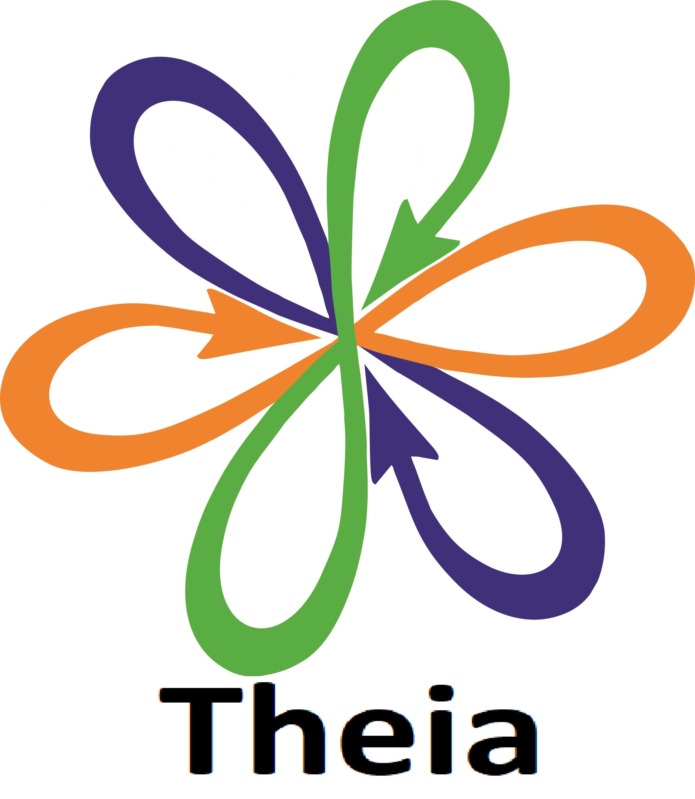 theia.com.pl