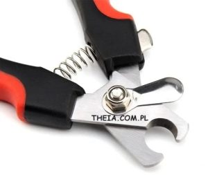 rabat. taniej. za darmo. https://theia.com.pl